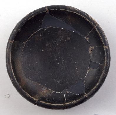 Marian Venceslá Delgado (CERES)